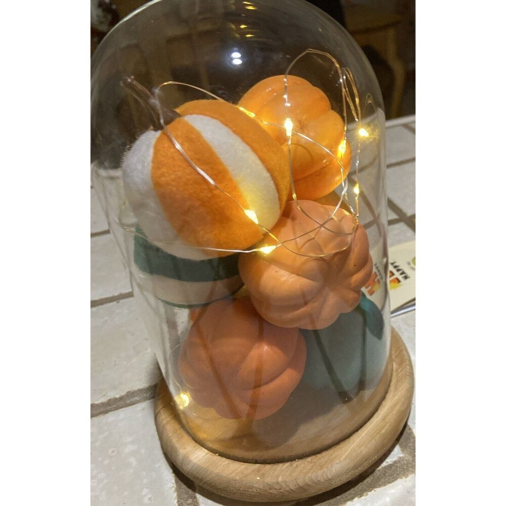 New Decor-Light Up Pumpkin in Glass‎ Cloche For Halloween & Thanksgiving